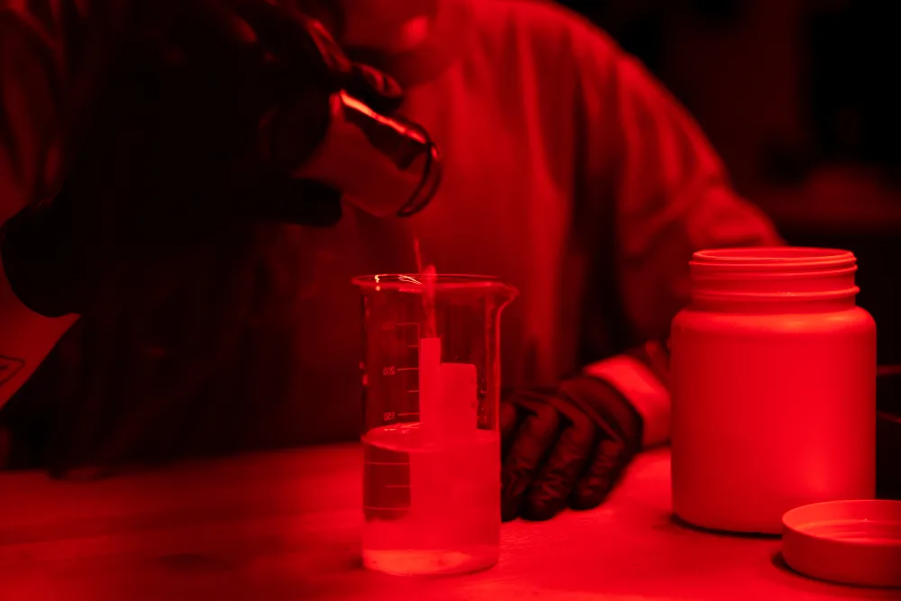 Health & Life Sciences